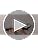 Youth Baseball & Softball Belt - Adjustable 22-42 Inches - Black