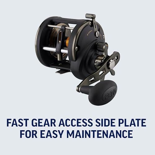 Penn Squall II Level Wind Conventional Fishing Reel 20LW for Bottom & Wreck Fishing