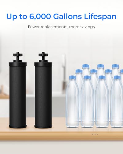 Waterdrop Silver Ions Black Water Filter Replacement for Berkey BB9-2 — Includes 2 Filters
