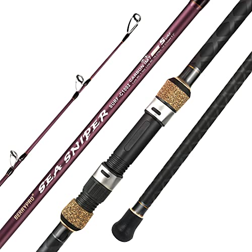 Berrypro 10' Carbon Travel Surf & Casting Fishing Rod 2-Piece