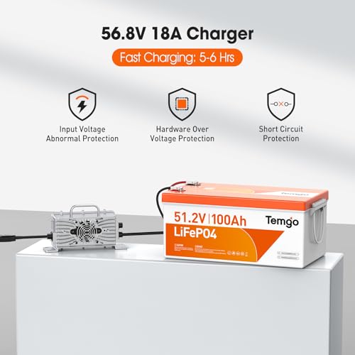 TEMGO 48V 100Ah LiFePO4 Golf Cart Battery with Voltage Converter - Model 48V100AH