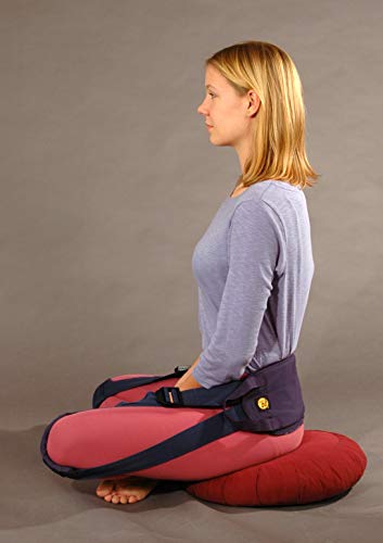 Nada Sportbacker Portable Lower Back Support for Posture Relief
