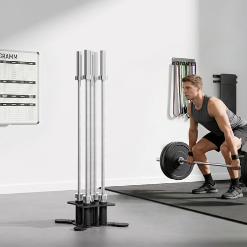 Vertical Barbell Storage Rack for 2-Inch Olympic Bars - Heavy Duty Steel
