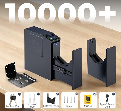 ORARAER Solid Black Biometric Wall Safe with 4 Unlock Methods - Mountable Home & Office Security Safe