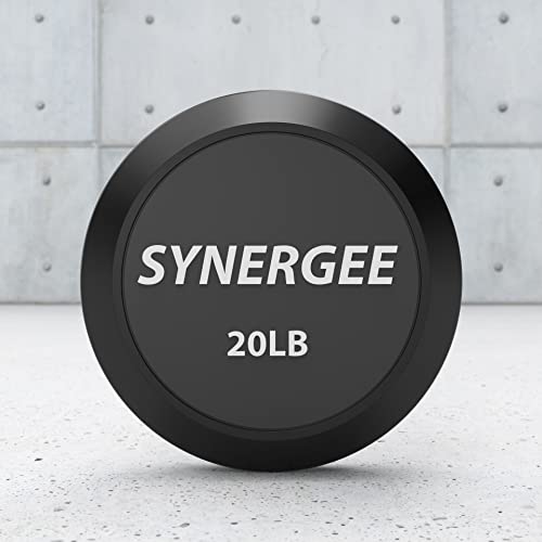 Synergee 20lb Fixed Curl Bar - Pre-Weighted Easy Curl Bar for Strength Training