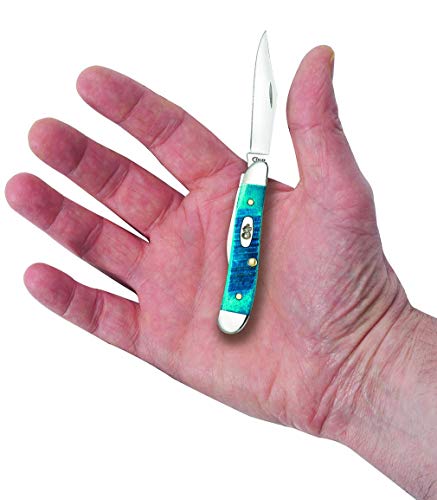 Case 25596 Pocket Knife with Caribbean Blue Jig Bone Handle, 2.875 Inch Closed