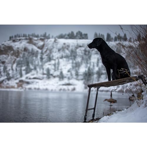 Momarsh Final Stand Adjustable Dog Training & Hunting Platform | Elevated Pet System, Mud Feet, 150lb Capacity