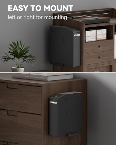 Biometric Gun Safe for Handgun Bedside with Quick Access & Passcode - HOLEWOR