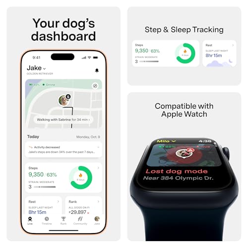 Fi Series 3+ GPS Dog Collar & Tracker Large Blue - 12-Month Membership Included