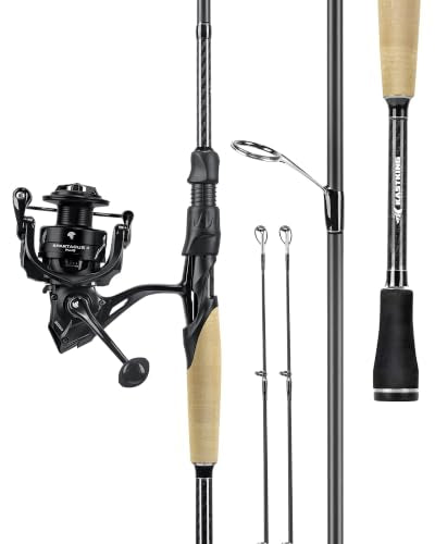 KastKing Spartacus II Plus Twin-Tip Spinning & Casting Fishing Rod & Reel Combo 6'6" M with 2000 Reel
