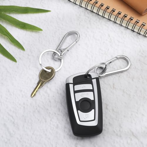 Heavy Duty Metal Keychain Carabiner Clips Set - Silver, 10 Pack