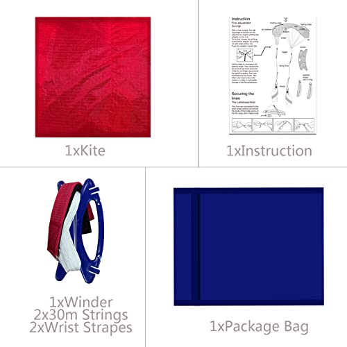 Dual Line Stunt Kite for Adults 2.5m Flying Sport Kite with Red Pattern