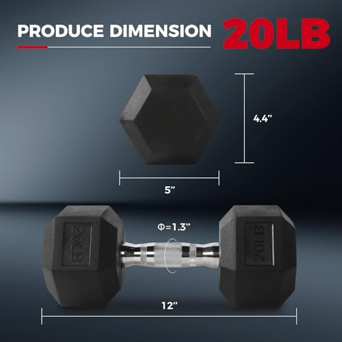 RitFit Rubber Coated Hex Dumbbell Set 2 x 20 lbs for Home Gym Strength Training