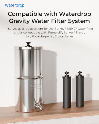 Waterdrop Silver Ions Black Water Filter Replacement for Berkey BB9-2 — Includes 2 Filters