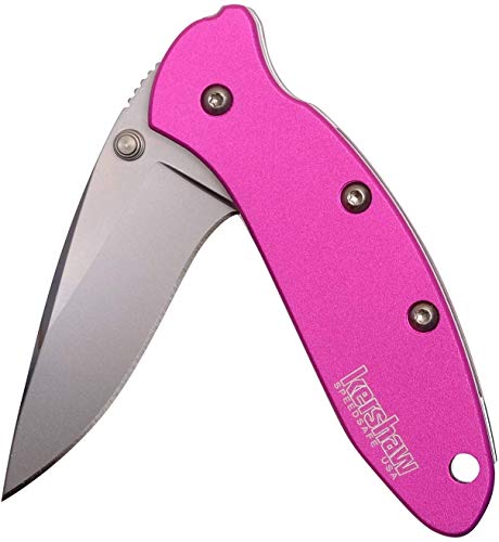 Kershaw Pink Pocket Knife with 1.9-Inch Drop Point Blade, Made in USA