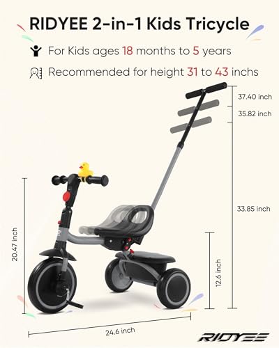RIDYEE Foldable Toddler Tricycle with Push Handle, Grey, for 18 Months to 5 Years