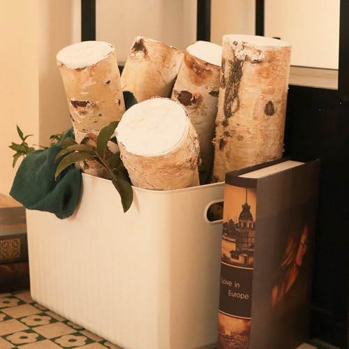Large Birch Logs for Fireplace & Decor - 5 Pack, 3-4 Inch Diameter