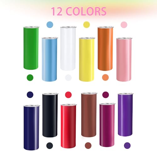 12 Pack Stainless Steel Insulated Tumblers 20oz with Lids & Straws