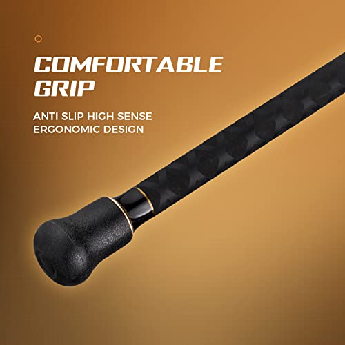 BERRYPRO 12' Spinning Surf Fishing Rod Graphite 2-Piece