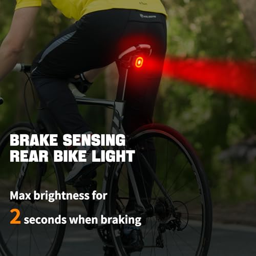 Rechargeable Bicycle Back Light with 4 Light Modes and Dual Mounting Options - Bike Tail Light