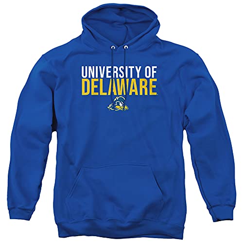 University of Delaware Hoodie - Unisex Adult Pullover in Royal Blue, Small