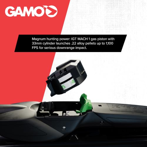 Gamo Swarm Bone Collector 10X Gen3i Multi-Shot Air Rifle 0.22 Caliber