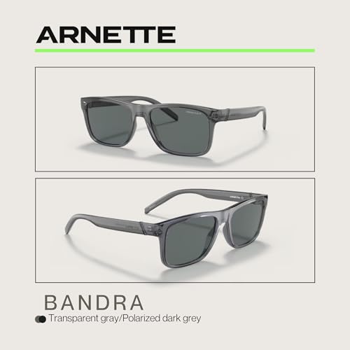 ARNETTE Bandra AN4298 Square Sunglasses for Men, Transparent Gray, Polarized, 55mm