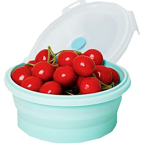 27oz Collapsible Food Storage Container with Lid - 800ml Silicone Bowl