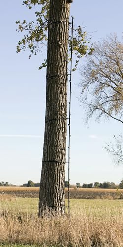 Big Game 20ft Climbing Ladder Sticks for Hunting - Portable Tree Stand Accessory, Variation 1
