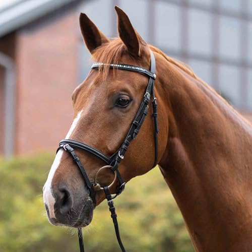 Horse Bridle Black Padded Leather Snaffle with Flash Noseband & Web Reins - HORZE Weston