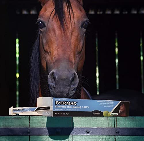 Horse Dewormer Paste 1.87% Ivermectin for Internal Parasite Control - 4 Pack