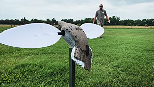 Voodoo Dove Spinning Wing Decoy Set - Realistic Motorized Dove Decoys for Hunting