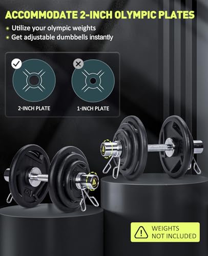 16-Inch Olympic Dumbbell Handles Set with Spring Collars for Weightlifting