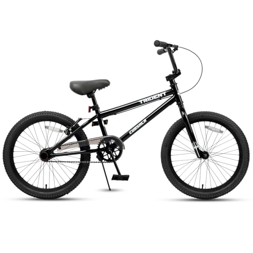 Cubsala Black 20-Inch BMX Race Bike for Beginners & Pros with 2 Pegs