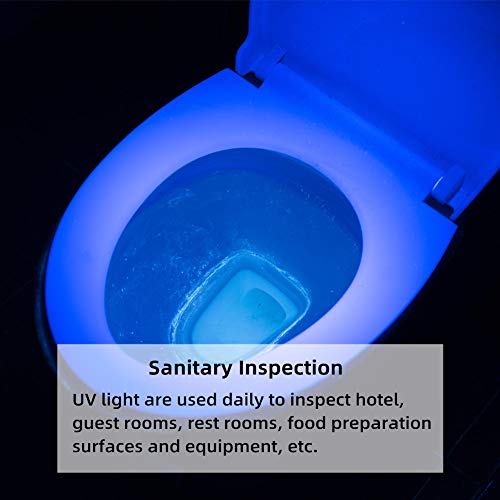Weltool M2-BF 365nm UV Flashlight Portable Stainless Steel 1800mW for Stain Detection