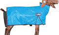 Livestock Goat Blanket with Reflective Piping and Mesh Ventilation - Medium