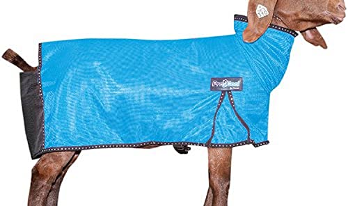 Livestock Goat Blanket with Reflective Piping and Mesh Ventilation - Medium