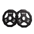 Mikolo 15LB Pair Rubber-Coated 12-Sided Weight Plates with Handles for Home Gym & Strength Training