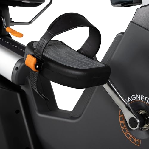 Recumbent Exercise Bike with Bluetooth App Connectivity, 350 lb Capacity
