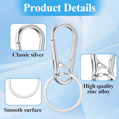 Heavy Duty Metal Keychain Carabiner Clips Set - Silver, 10 Pack