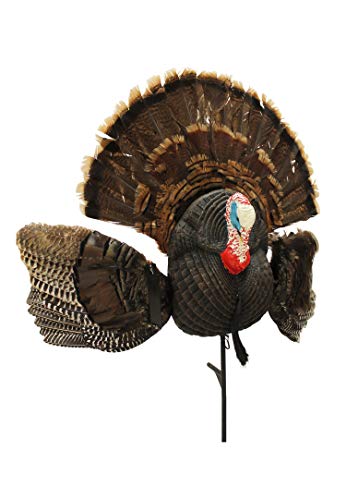 MOJO Outdoors Turkey Decoys Pack of 1 11x2x4 Inch Realistic Hunting Decoy