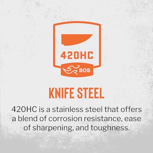 Buck Knives 119 Special Fixed Blade Hunting Knife Black/Silver, Sheath, 6-Inch Blade