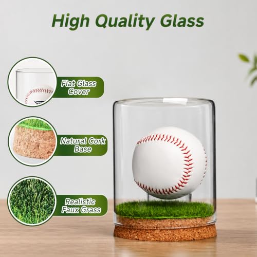 Baseball Display Case Large Glass Holder for Signed Baseballs - Rocalt