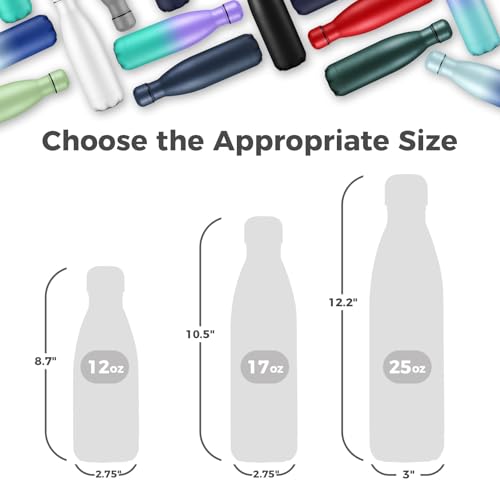 17oz Insulated Water Bottles Multi-Pack - Silver, 4 Pack