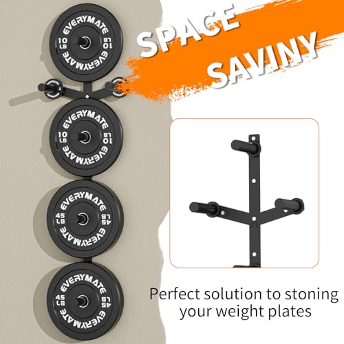 Wall Mount Weight Plate Storage Rack - 6 Pegs for 2-Inch Olympic Plates