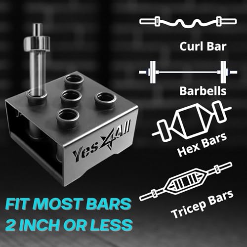 Black Vertical Barbell & Dumbbell Storage Rack for Home Gym - 2-Inch Olympic & Curl Bars