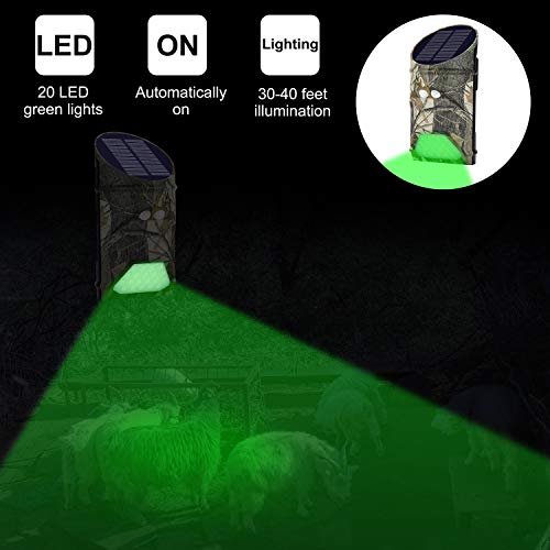 Solar-Powered Hog & Deer Feeder Light with Motion Sensor, 3 Pack