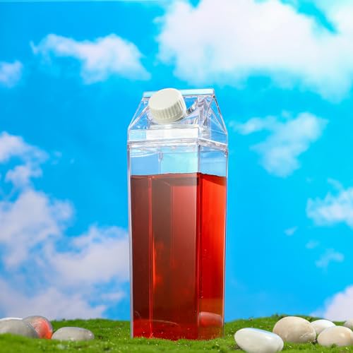 2 Pack 17oz Clear Milk Carton Water Bottles Leakproof Reusable Plastic