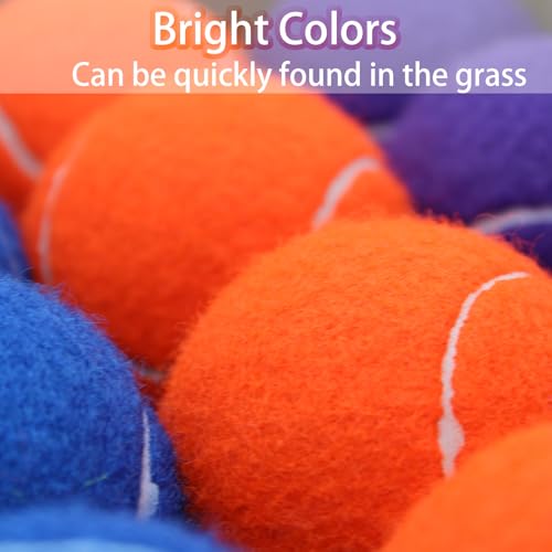 Multicolor Tennis Balls Bulk Pack - 40 Practice & Dog Training Balls