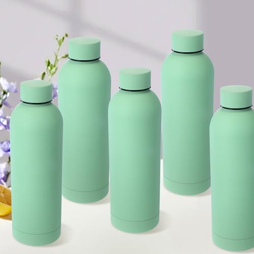 17 oz Stainless Steel Water Bottles Bulk Set - Reusable Travel & Gym Hydration